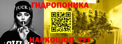 амф Кунгур
