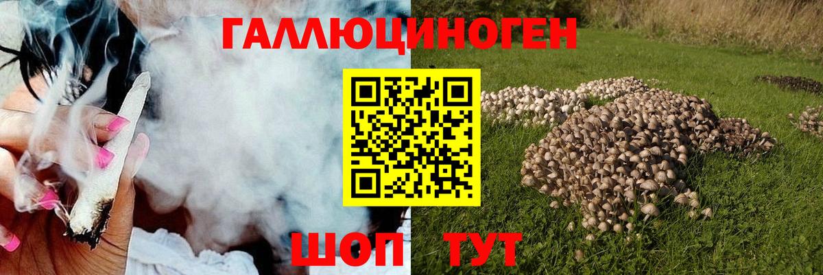 Ейск  Галлюциногенные грибы Cubensis  Вход с VPN 